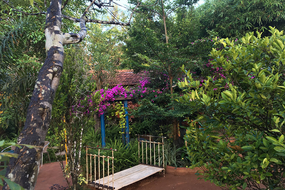 garden